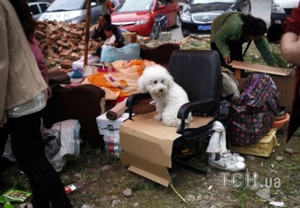 Китай очухується від землетрусів. ФОТО