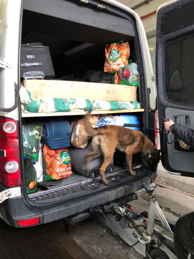 Волинянин у шкарпетці хотів перевезти через кордон наркотики. ФОТО