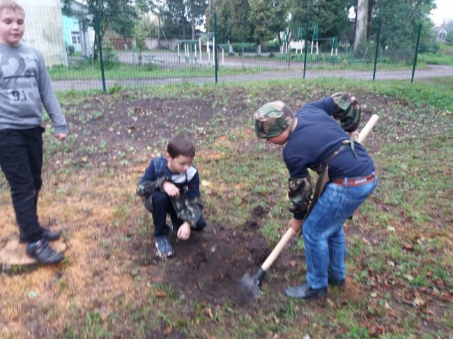 Волинські гімназисти посадили фруктовий сад в честь ювілею навчального закладу