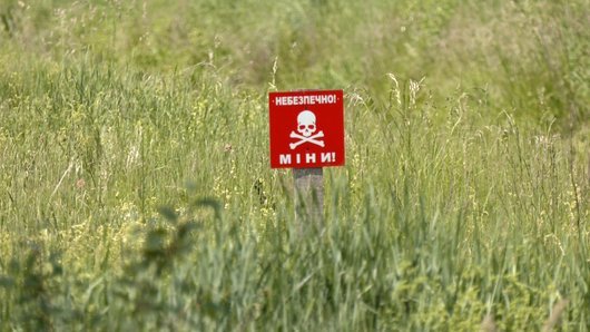 Як на Волині укріплений держкордон із Білоруссю. ВІДЕО