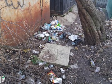 Біля навчального закладу в Луцьку – купи сміття