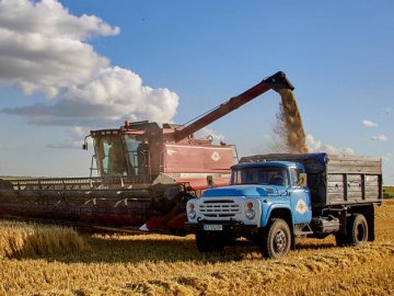 На Волині завершилися жнива, скільки збіжжя зібрали аграрії. ВІДЕО