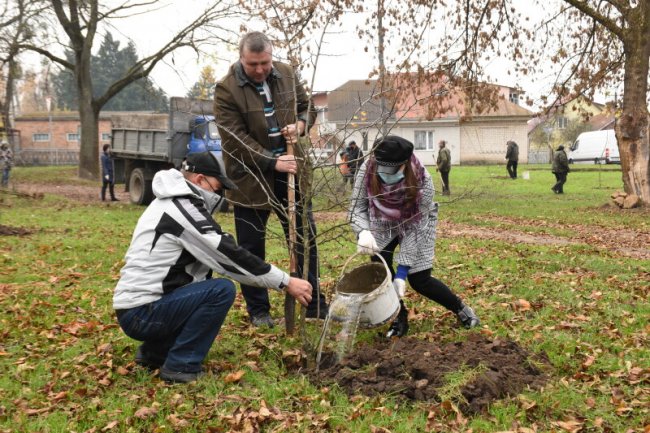 Глід, акація, метасеквоя: біля Теремнівських ставків висадили саджанці дерев