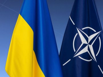 США та Німеччина виступають проти підтримки вступу України в НАТО на саміті, – ЗМІ