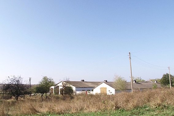 Правоохоронці виявили велику партію фальсифікованих ліків. ФОТО. ВІДЕО