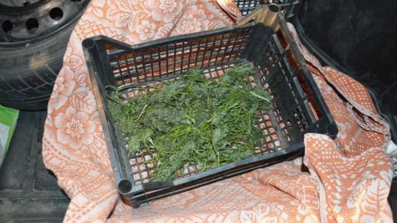 У ковельчанина вилучили наркотики. ФОТО