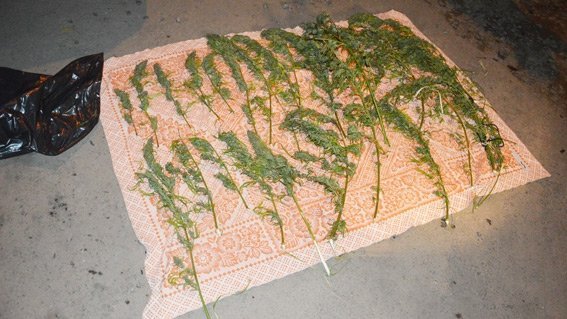 У ковельчанина вилучили наркотики. ФОТО