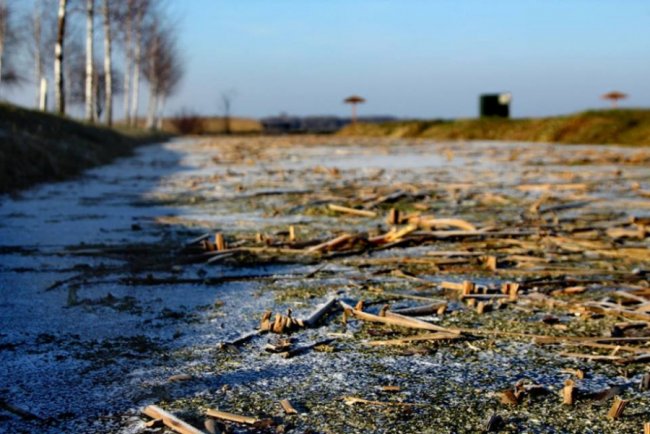 Опублікували зимові світлини мальовничого Світязю. ФОТО