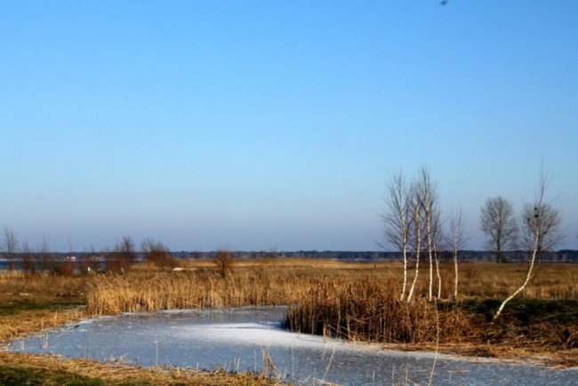 Опублікували зимові світлини мальовничого Світязю. ФОТО