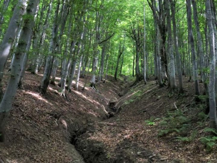 У Карпатах стався землетрус