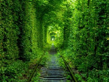 В’їзд у знаменитий «Тунель кохання» буде платним