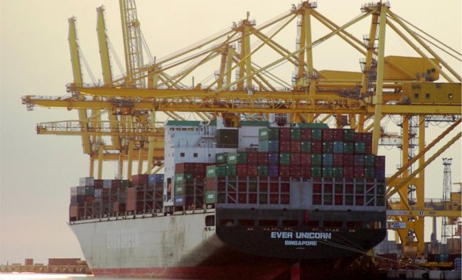 У луцький парк привезли нові машинки для автодрому