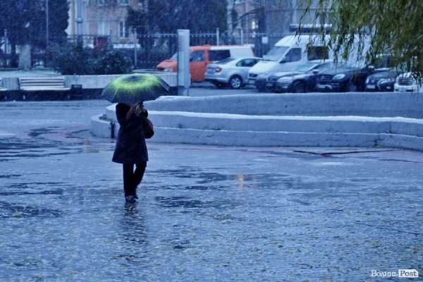 Перший сніг у Луцьку: холодно, вітряно, мокро. ФОТО. ВІДЕО