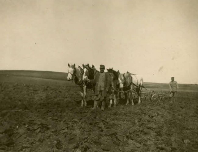 Берестечко, 1916-1917 р.