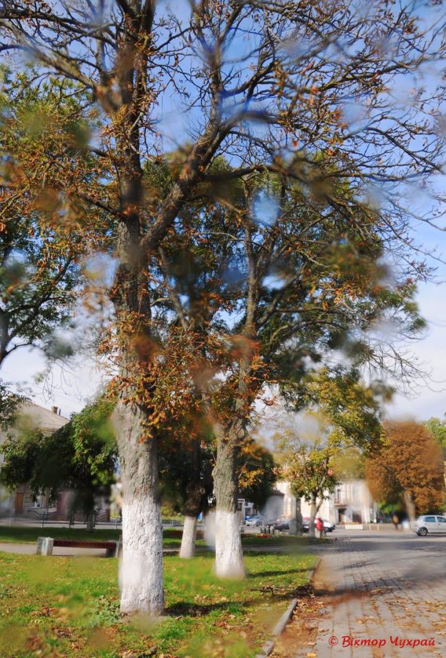 Осінь у Луцьку. ФОТО