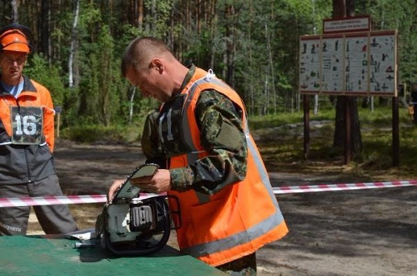 На Волині визначили найкращого вальника лісу. ФОТО