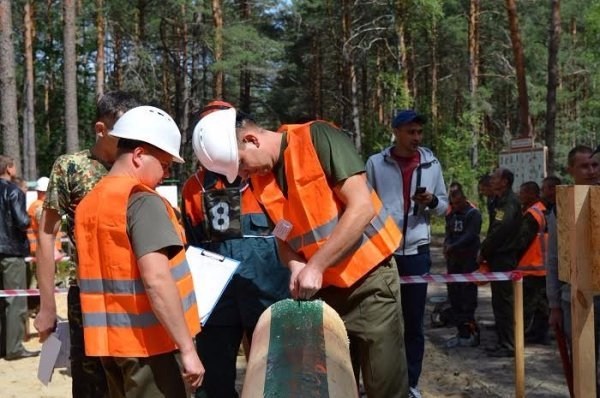 На Волині визначили найкращого вальника лісу. ФОТО