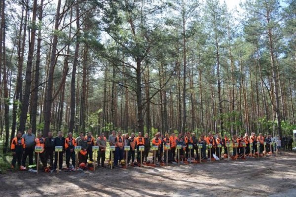 На Волині визначили найкращого вальника лісу. ФОТО