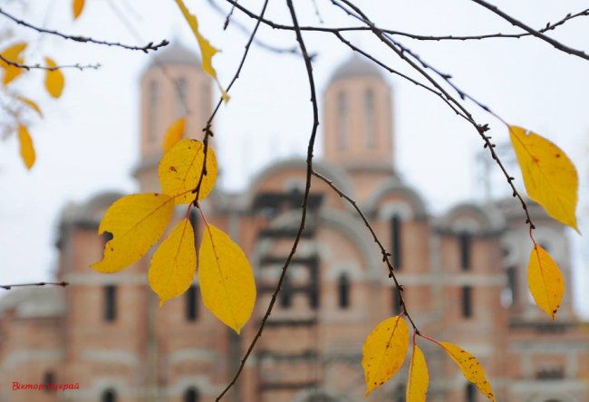 «Останнє золото»: фотограф показав осінню красу Луцька