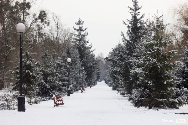 У Луцьк прийшла справжня зима. ФОТО