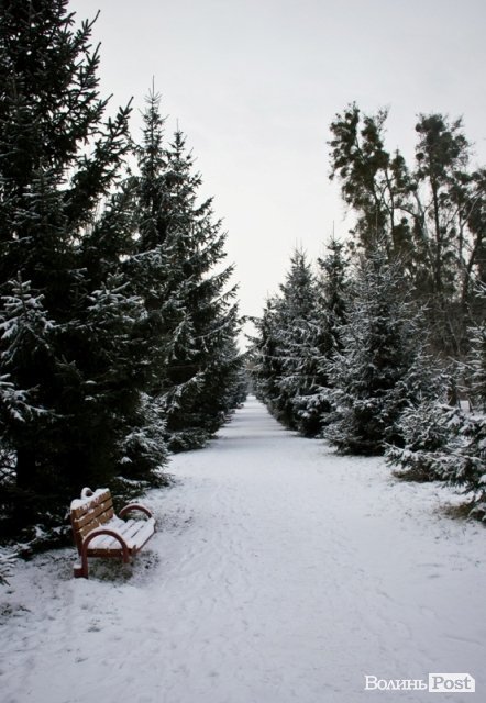 У Луцьк прийшла справжня зима. ФОТО