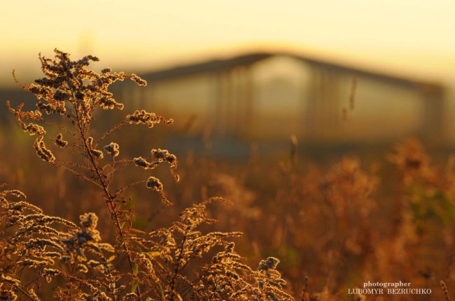 Роса і павутинки: луцький фотограф поділився осінніми світлинами