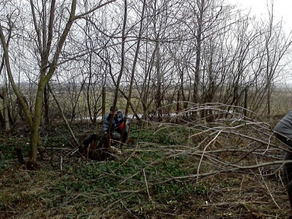 На Волині прибирають кладовища до Пасхи. ФОТО