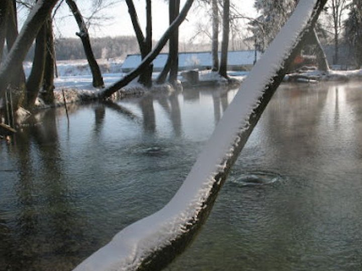 Що відбувається з Оконськими джерелами: волинська селищна рада оприлюднила роз’яснення