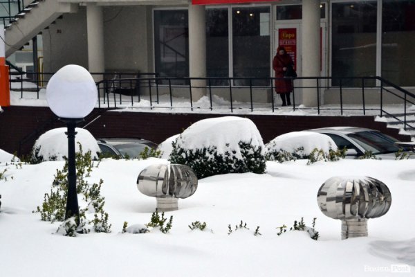 Лютий лютує: фото зими в Луцьку