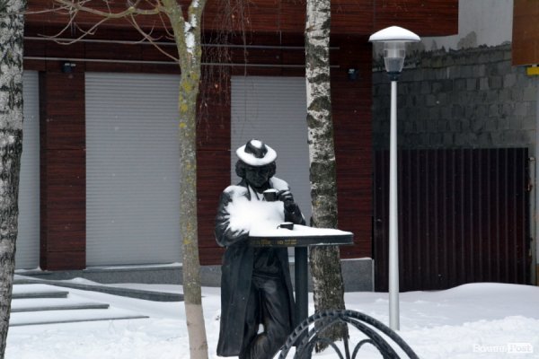 Лютий лютує: фото зими в Луцьку