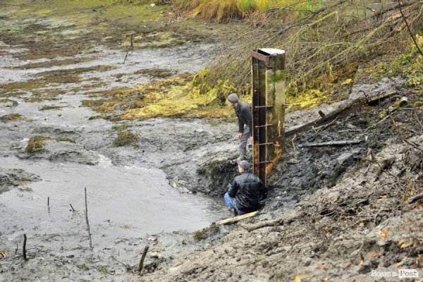 Як чистять ставки в Теремно. ФОТО