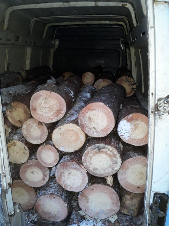 На Волині затримали крадіїв лісу на єврономерах