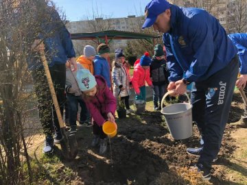 Заради майбутнього: «Побратими України» саджали дерева з дошкільнятами у Луцьку. ФОТО