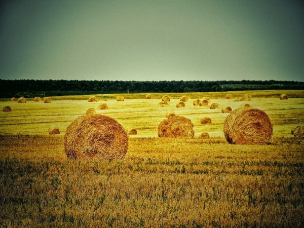 Фотовиставка Тараса Маркіна