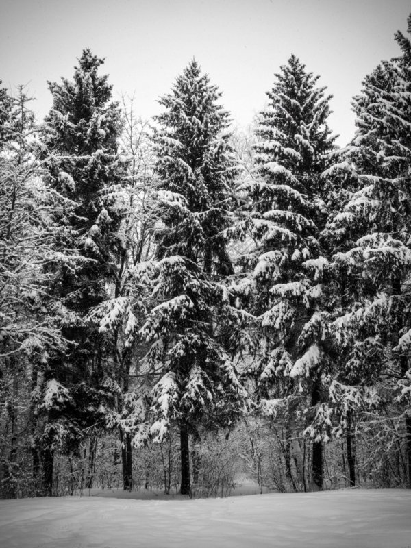 Фотовиставка Тараса Маркіна