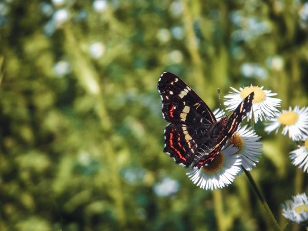Фотовиставка Тараса Маркіна
