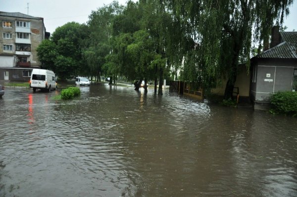 Фото: Антонина Климишина