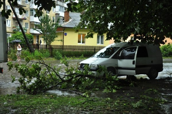 Фото: Антонина Климишина