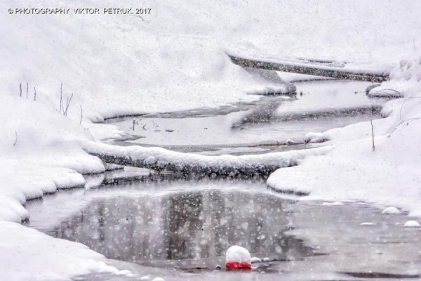 У мережі показали казковий луцький парк під снігом