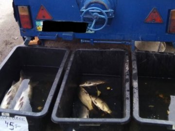 На ринку на Волині затримали продавця сумнівної риби