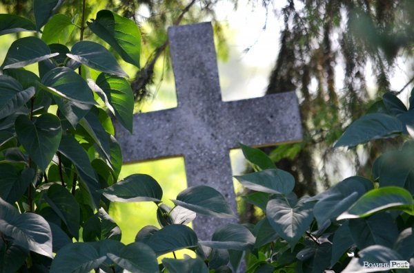 На кладовищі Луцька повалені пам'ятники, а могили заросли чагарниками. ФОТО