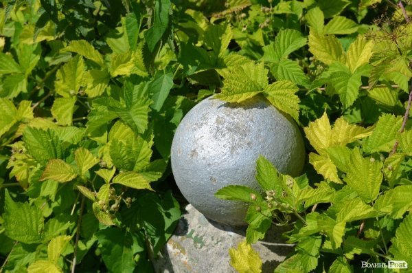 На кладовищі Луцька повалені пам'ятники, а могили заросли чагарниками. ФОТО