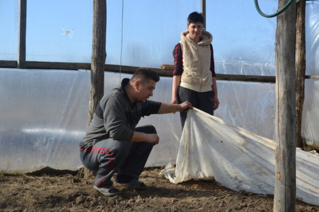 Подружжя з Волині розповіло, як вирощує у теплицях овочі і квіти