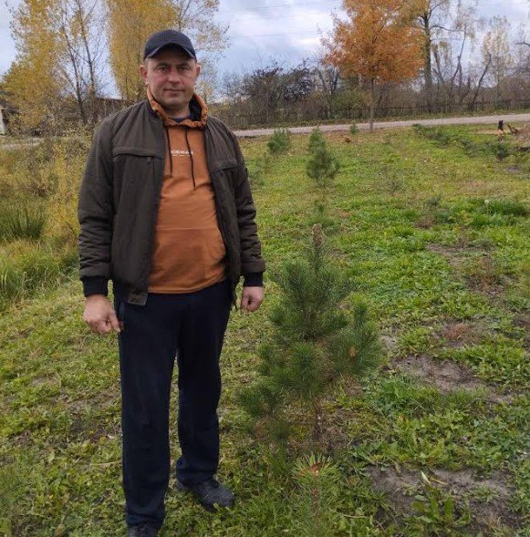 Волинянин вдома вирощує ялинки. ФОТО