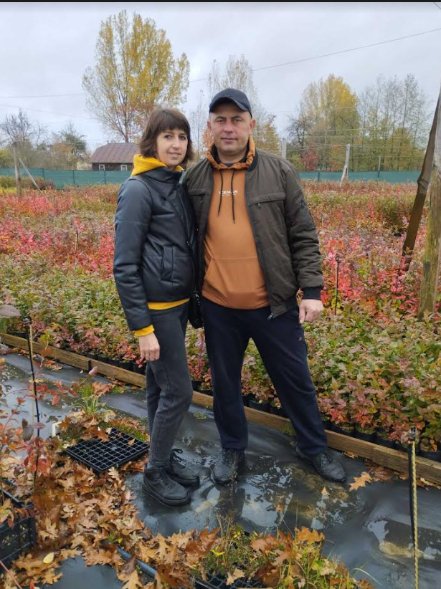 Волинянин вдома вирощує ялинки. ФОТО