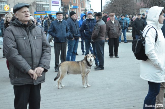 Повстанські пісні, зізнання в любові і до чого тут ва(Зе)лін: як на Волинь Порошенко приїздив. ФОТОРЕПОРТАЖ