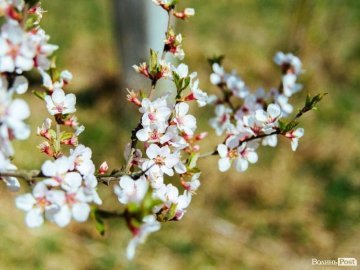 Народні прикмети, обряди і звичаї 22 травня 