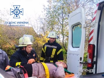 Волинянин травмувався і не зміг злізти з дерева: допомагали рятувальники