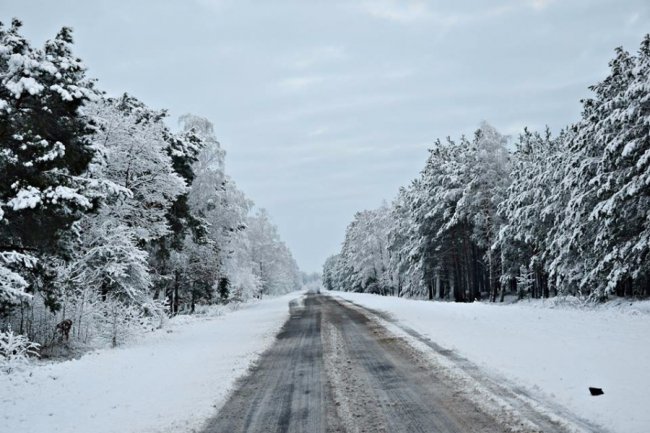 Калинові кетяги і заметені дерева: чудові фото снігопаду на Волині