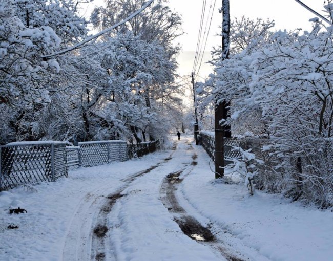Калинові кетяги і заметені дерева: чудові фото снігопаду на Волині